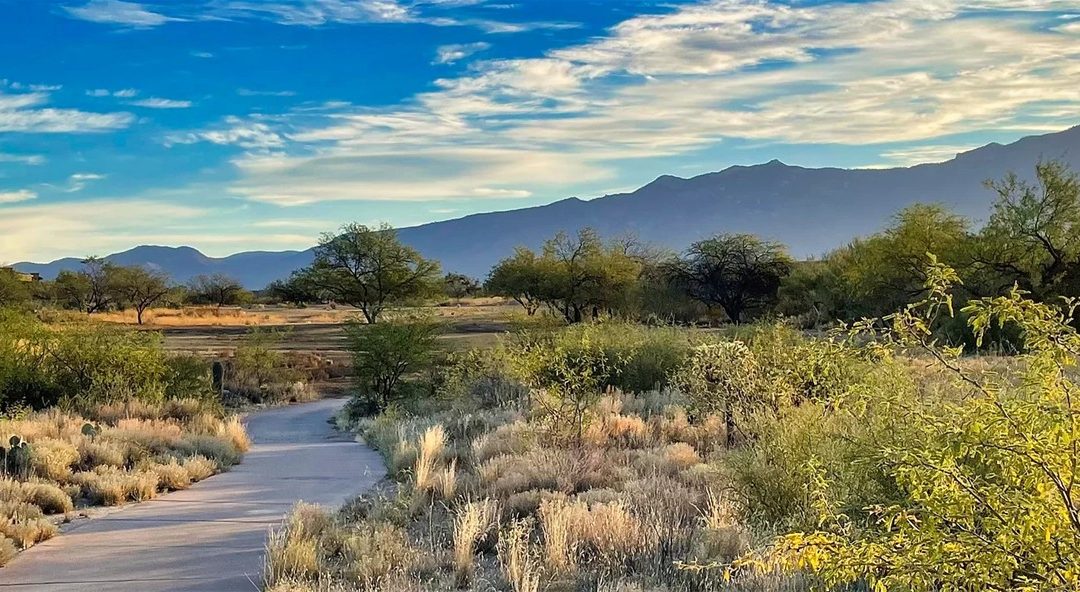 Discover the Peaceful Charm of Oro Valley, Arizona