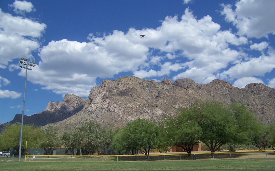 Explore the Vibrant Town of Oro Valley: Home to Abundant Mountain Views and an Active Lifestyle