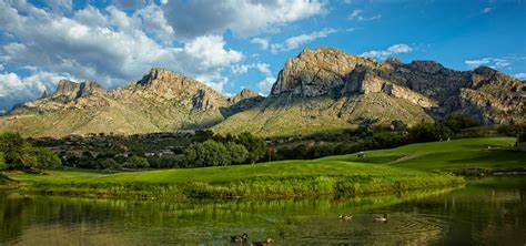 Embracing Tranquility and Nature: Discovering the Allure of Living in Oro Valley, AZ