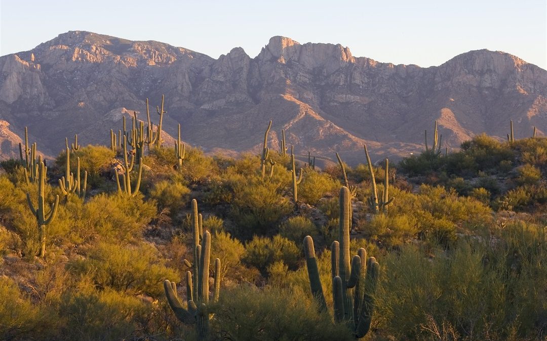 Exploring the Secrets of the Desert: An Unbeatable Experience on the Romero Pools Trail in Oro Valley