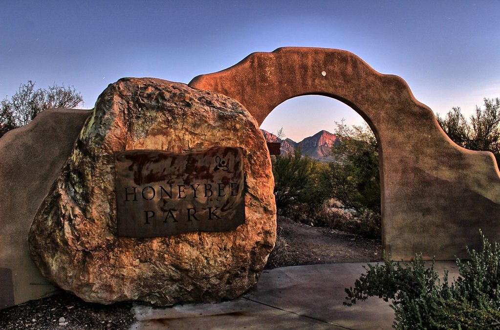 Oro Valley’s Oasis Awaits: Exploring the Town’s Top Parks