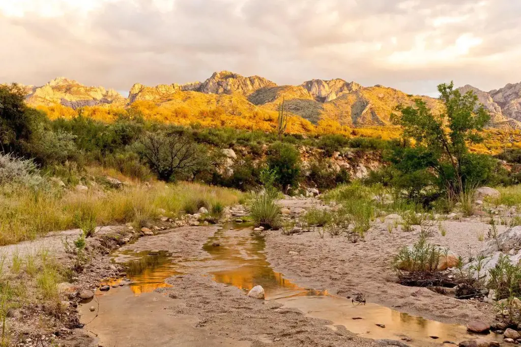 Embrace the great outdoors with breathtaking hikes in Catalina State Park.