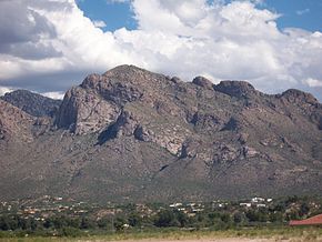 Oro Valley Uncovered: Outdoor Adventures, Cultural Gems, and Epicurean Delights