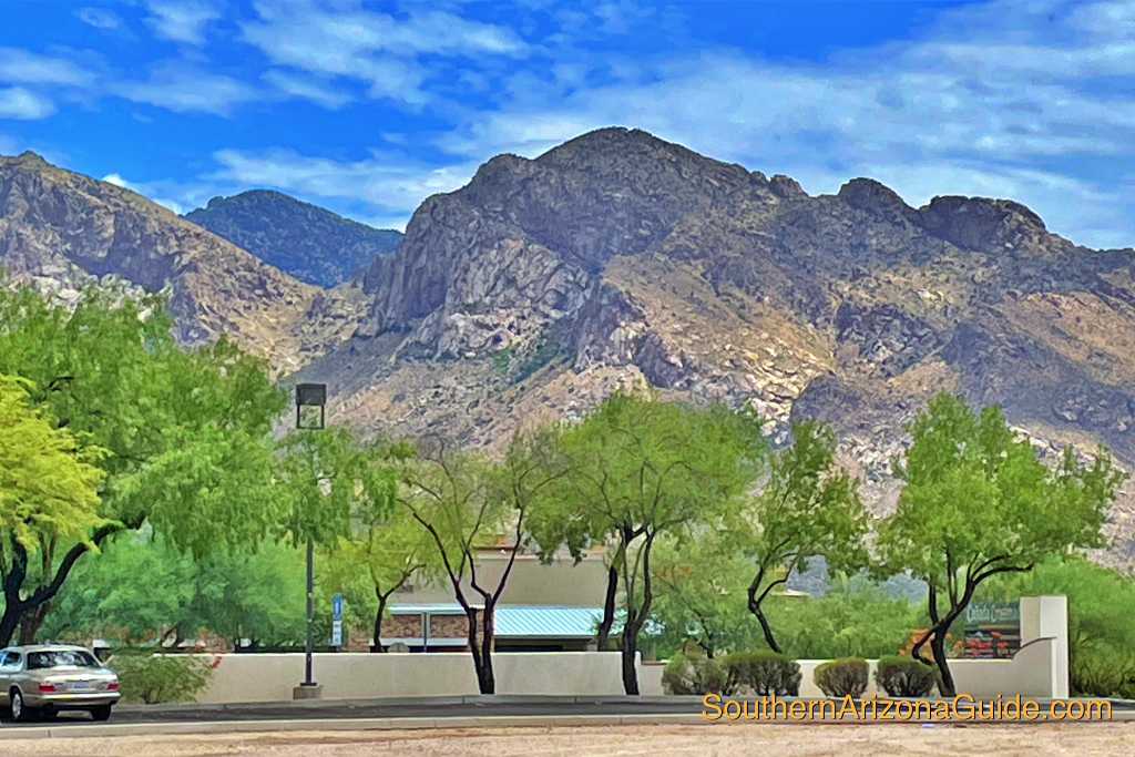 Experience the serene ambiance and stunning views of Pusch Ridge from our outdoor patio seating.