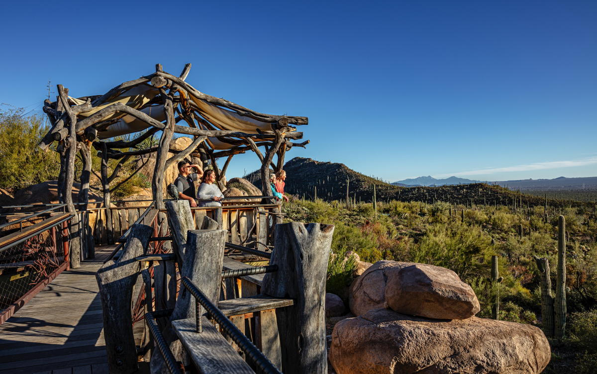 Discover the essence of Tucson, AZ with its rich culture, breathtaking nature, and intriguing history.