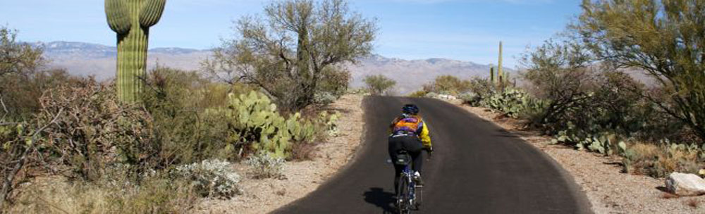 Experience the beauty of Tucson's landscapes on the premier cycling trails