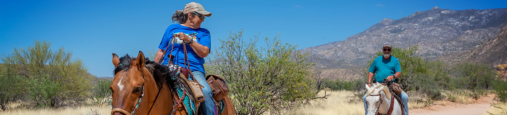 Early efforts and community involvement in the preservation of Catalina State Park's natural beauty.