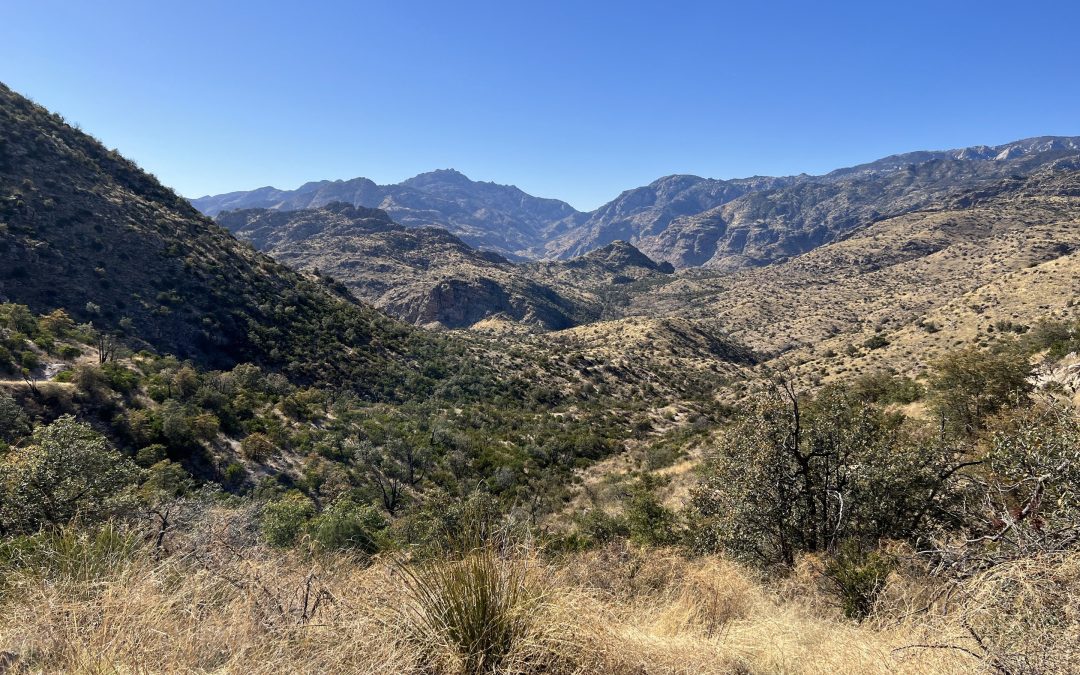 Exploring Pusch Ridge Wilderness: A Gem Over Tucson