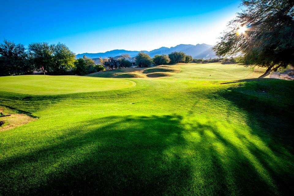 El Conquistador Golf in Oro Valley, AZ