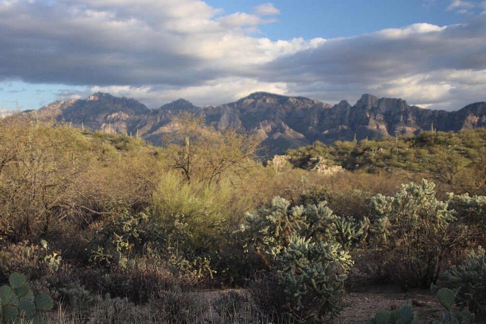 Honey Bee Canyon Park in Oro Valley, AZ