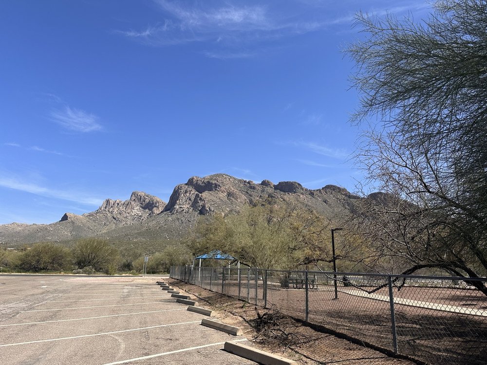 James D. Kriegh Park in Oro Valley, AZ