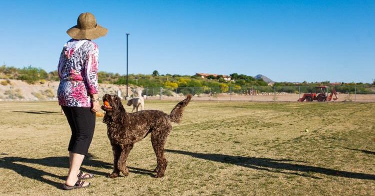 Naranja Park: A Community Haven for Dogs and Their Owners